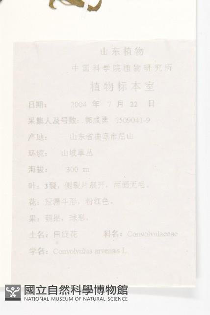 田旋花藏品圖，第2張