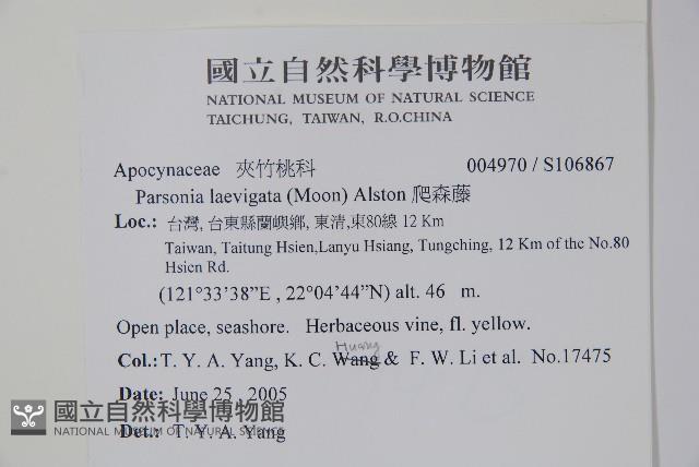 爬森藤藏品圖，第2張