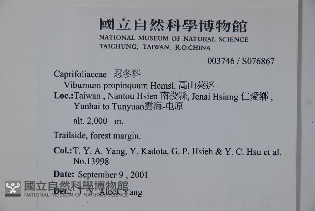 高山莢迷藏品圖，第2張