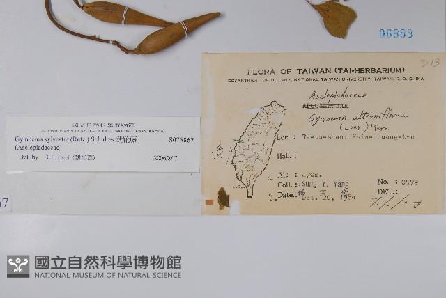 武靴藤藏品圖，第2張