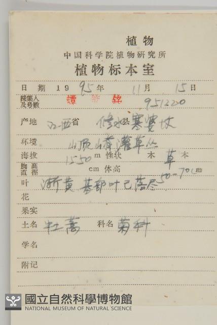 牡蒿藏品圖，第2張