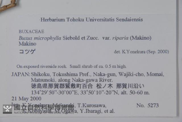 登錄號:S074867藏品圖，第2張
