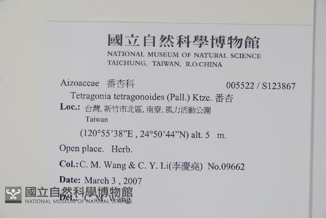 番杏藏品圖，第2張