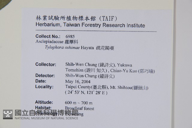 疏花鷗蔓藏品圖，第2張