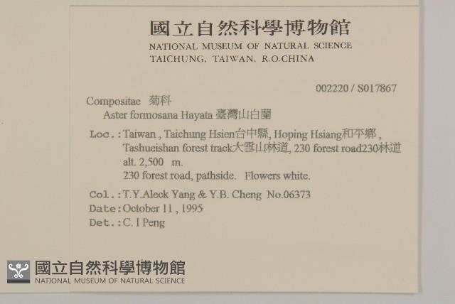 臺灣山白蘭藏品圖，第2張