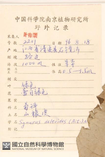 山牛旁藏品圖，第2張