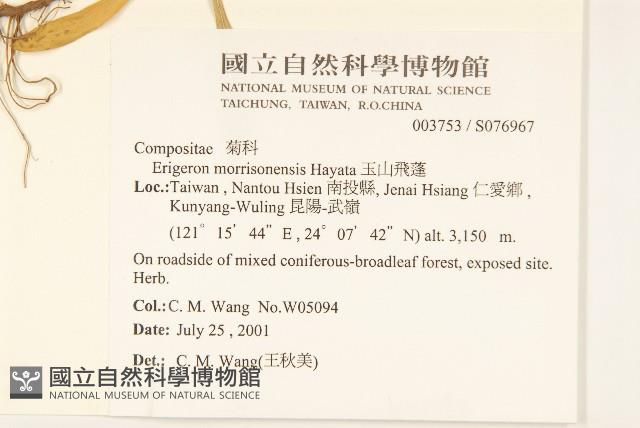 玉山飛蓬藏品圖，第2張