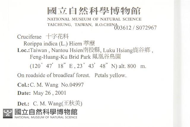 葶藶藏品圖，第2張