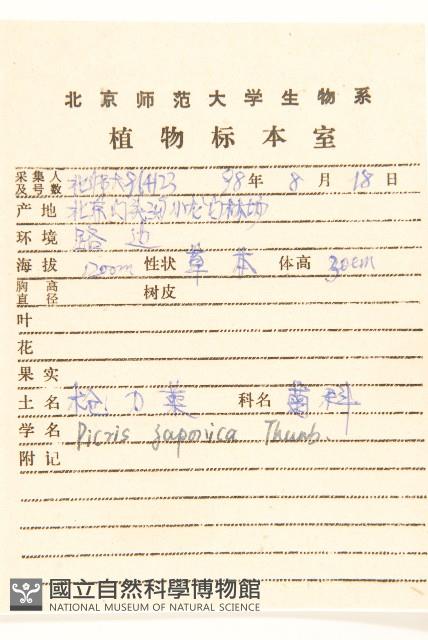 毛蓮菜藏品圖，第2張