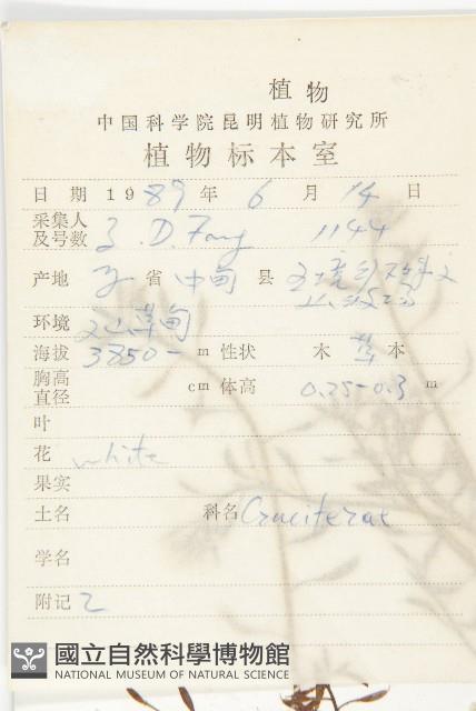 山菥蓂藏品圖，第2張