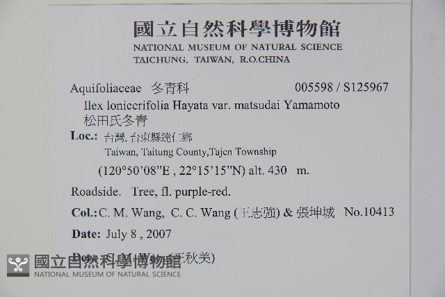 松田氏冬青藏品圖，第2張