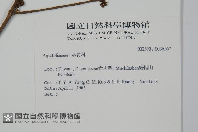 登錄號:S036567藏品圖，第2張