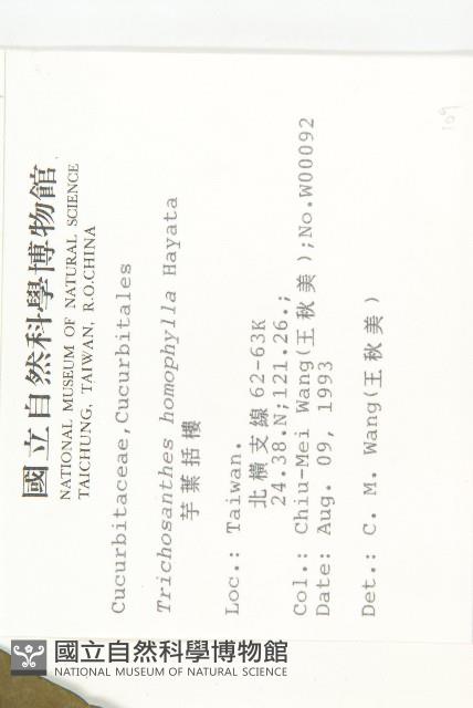 芋葉括樓藏品圖，第2張