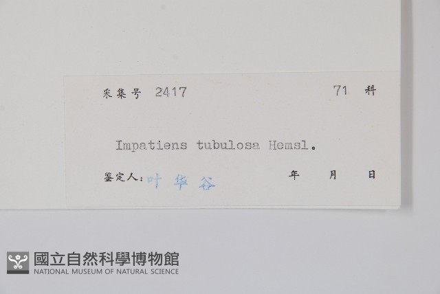 登錄號:S045567藏品圖，第2張