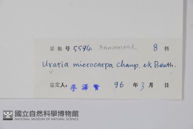 紫玉盤藏品圖，第2張