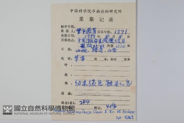 普剌特草藏品圖，第2張