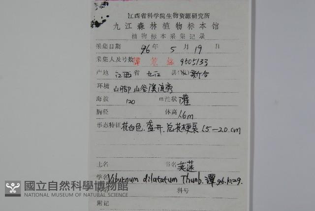 莢迷藏品圖，第2張