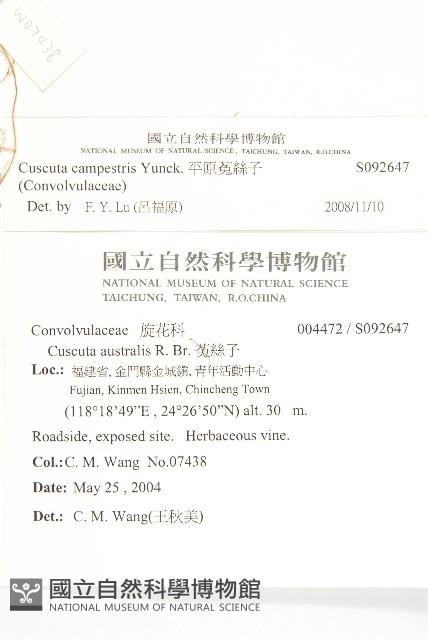 平原菟絲子藏品圖，第2張