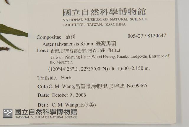 臺灣馬蘭藏品圖，第2張