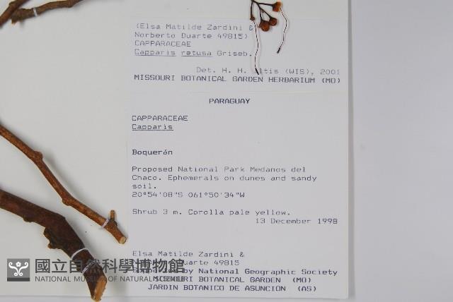 登錄號:S081647藏品圖，第2張