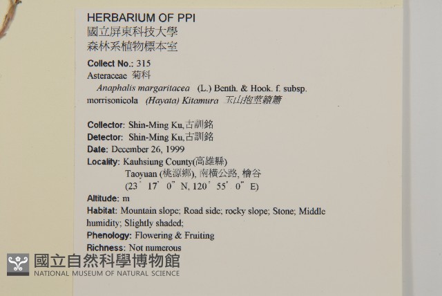 玉山抱莖籟簫藏品圖，第2張