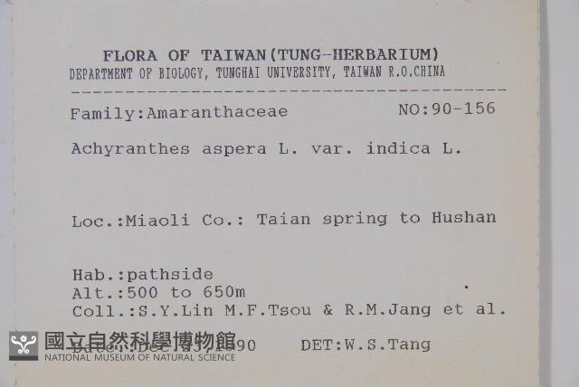 印度牛膝、土牛藤藏品圖，第2張