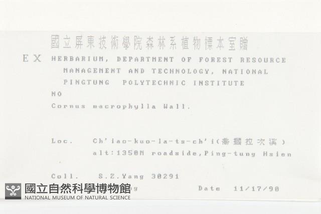 梜木藏品圖，第2張