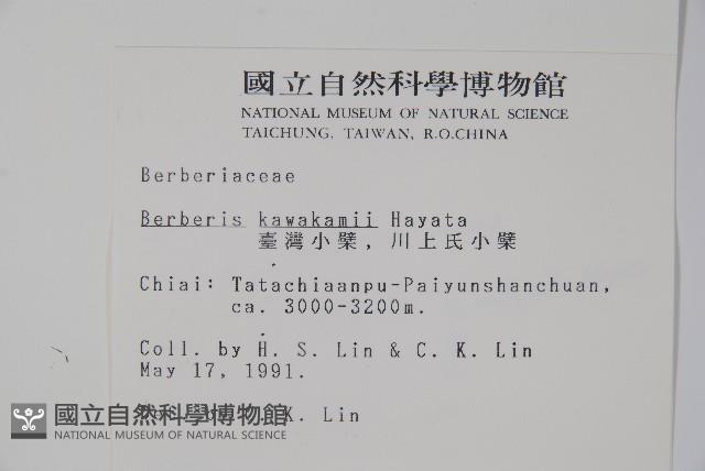 臺灣小蘗藏品圖，第2張