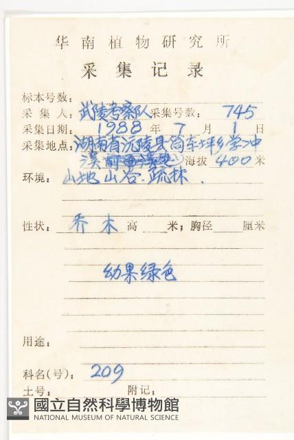 梜木藏品圖，第2張