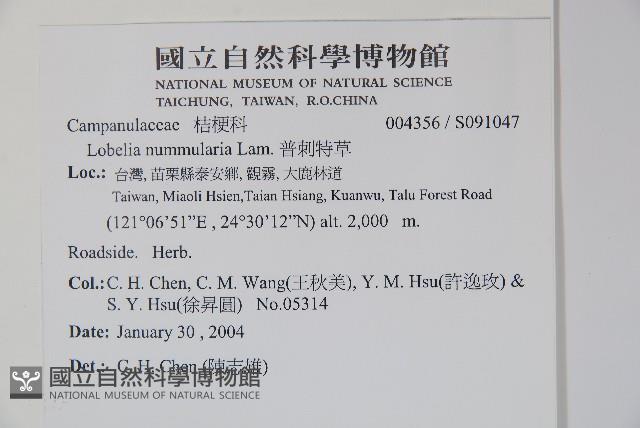 普刺特草藏品圖，第2張