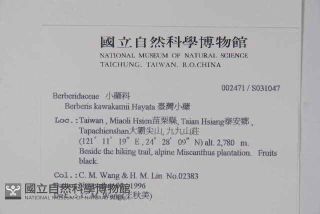 臺灣小蘗藏品圖，第2張