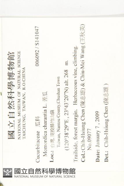 苦瓜藏品圖，第2張