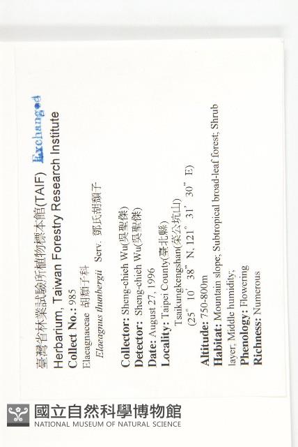 鄧氏胡頹子藏品圖，第2張