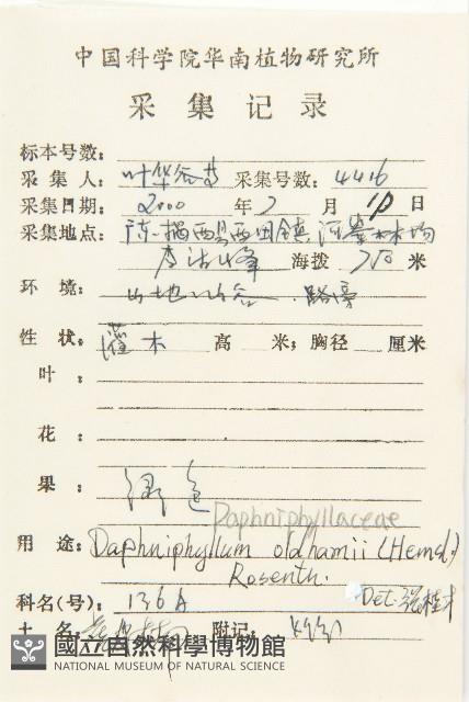 俄氏虎皮楠、蘭嶼虎皮楠、虎皮楠藏品圖，第2張