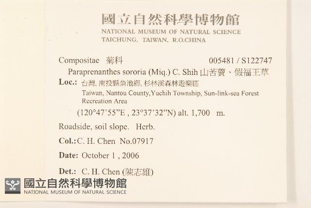 山苦藚、假福王草藏品圖，第2張