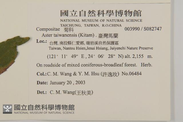 臺灣馬蘭藏品圖，第2張