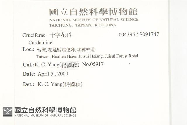 登錄號:S091747藏品圖，第2張