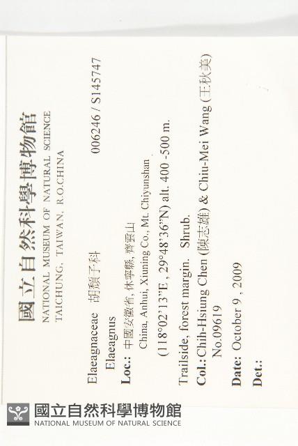 登錄號:S145747藏品圖，第2張