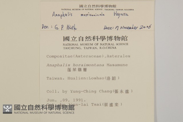 玉山抱莖籟簫藏品圖，第2張