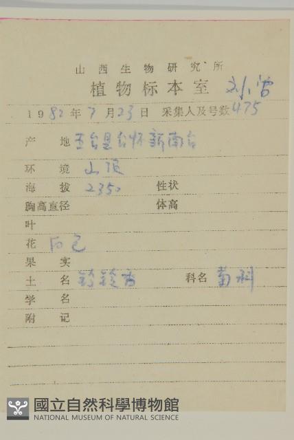 零零香藏品圖，第2張