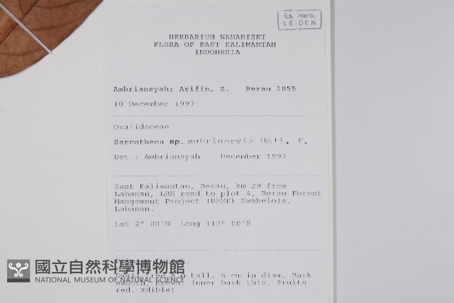 登錄號:S055247藏品圖，第2張