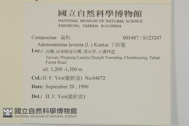 下田菊藏品圖，第2張