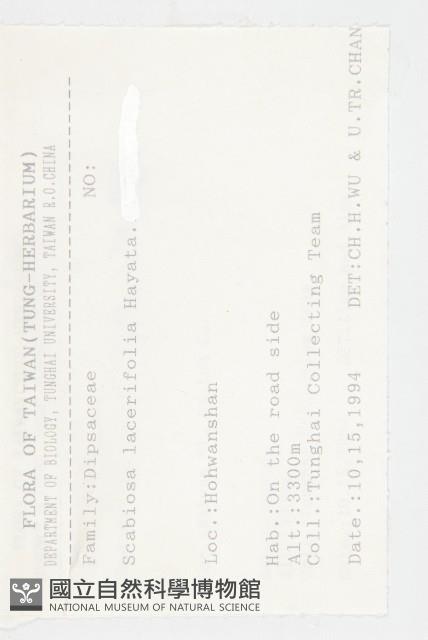 玉山山蘿蔔藏品圖，第2張