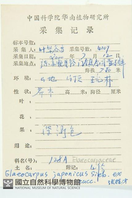 薯豆藏品圖，第2張