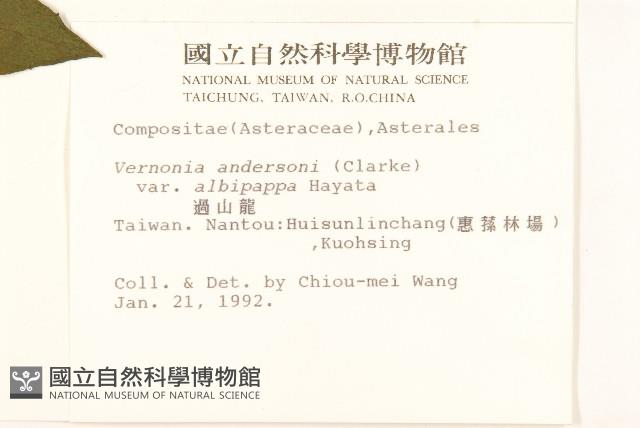 過山龍藏品圖，第2張