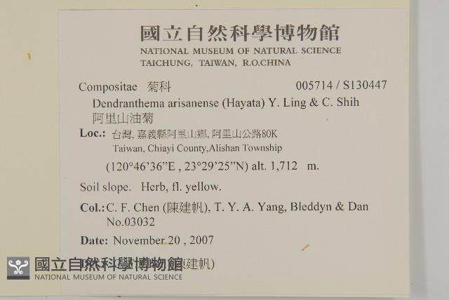 阿里山油菊藏品圖，第2張