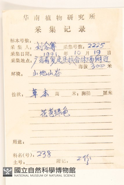 苦苣菜藏品圖，第2張