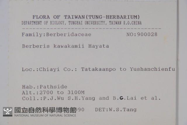 臺灣小蘗藏品圖，第2張