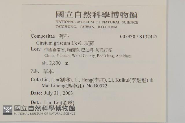 灰薊藏品圖，第2張