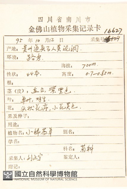 毛梗豨薟藏品圖，第2張